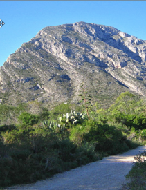 javea activity 1a